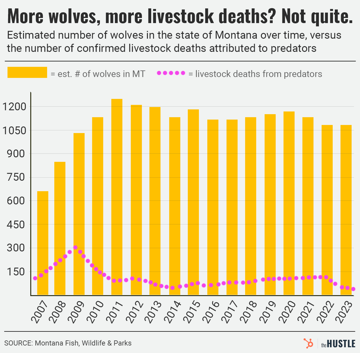 Chart: Montana wolves (yellow bars) vs. livestock deaths (pink line) 2007-2023; high wolf numbers, stable low deaths; source: Montana Fish, Wildlife &amp; Parks.