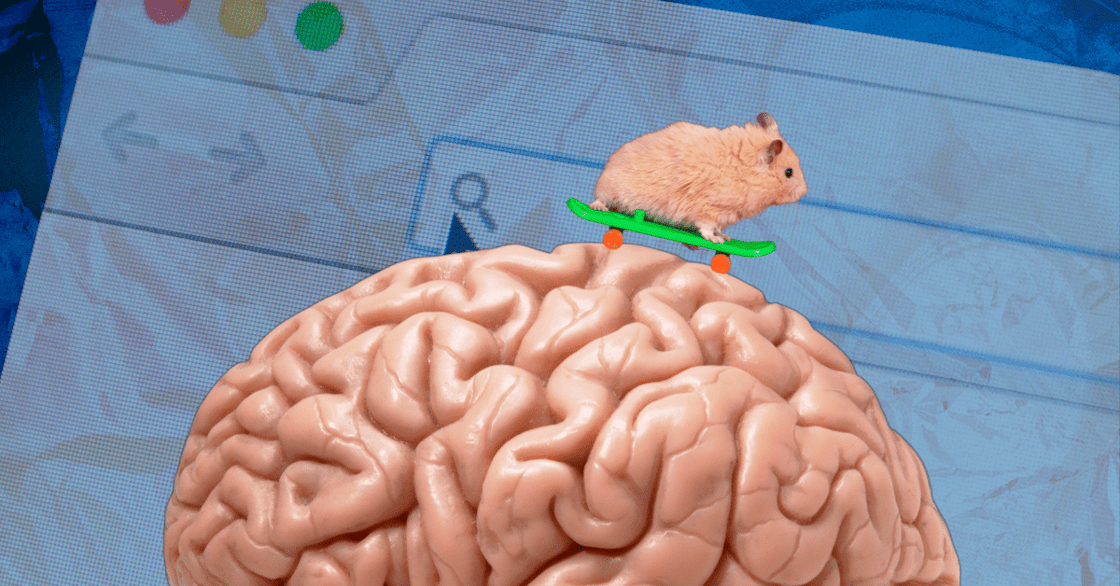 A hamster skateboarding on a brain with an internet browser in the background.