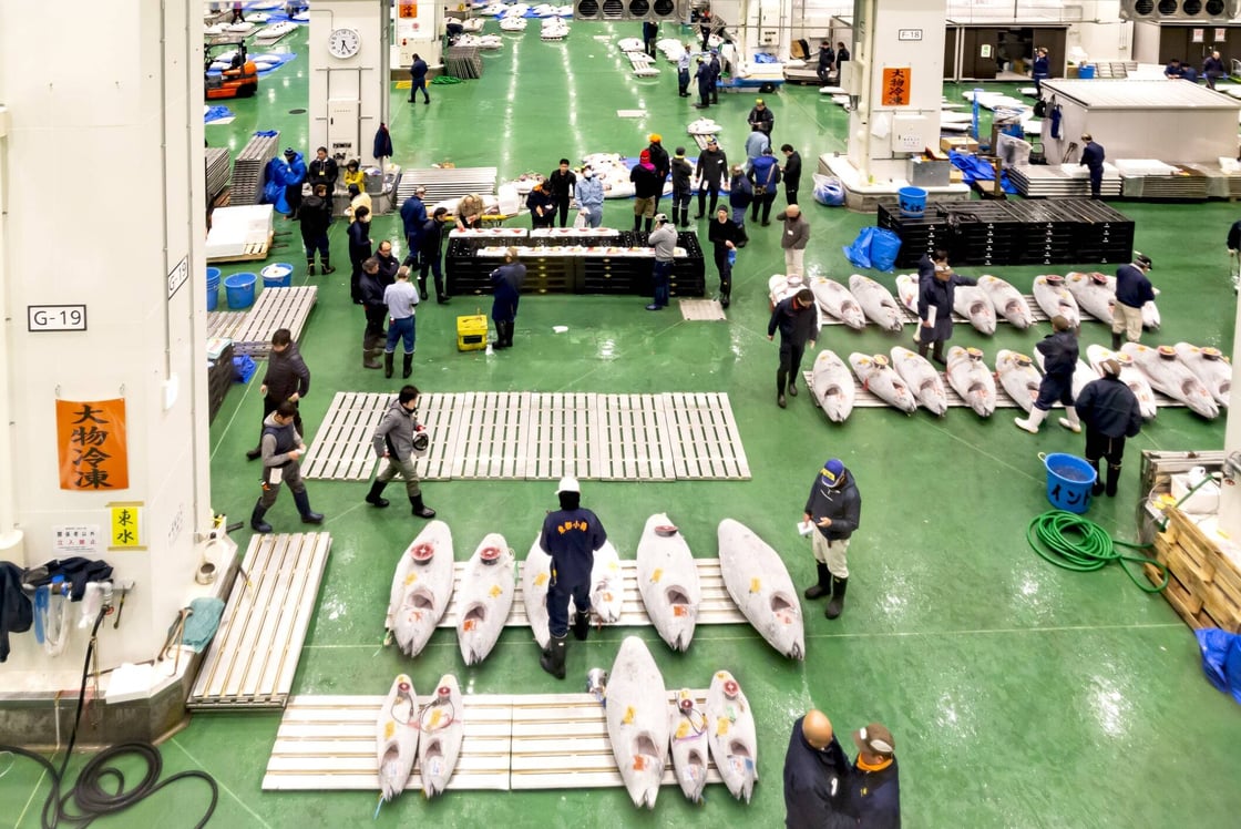 Tokyo’s Toyosu fish market