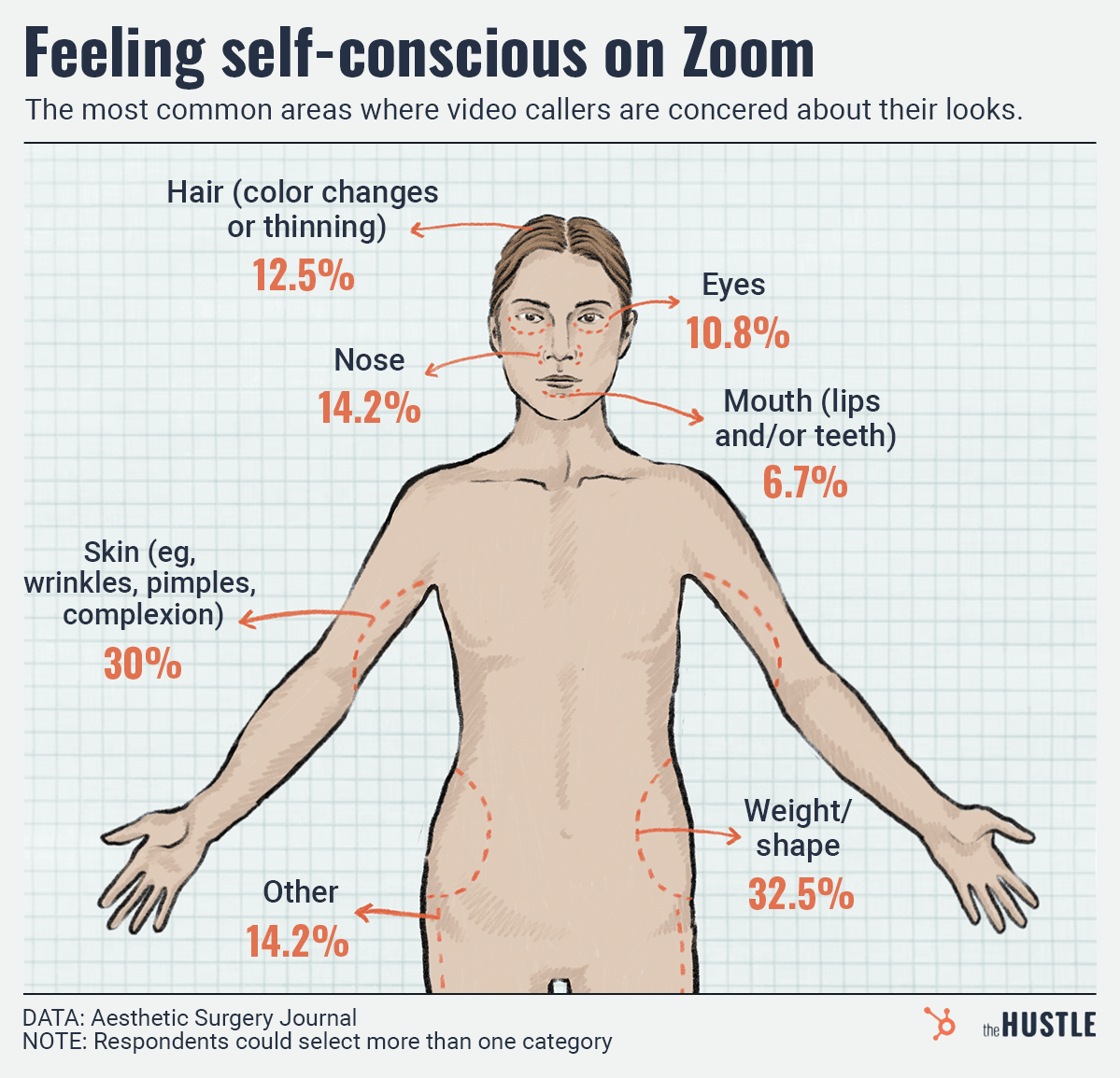 most common areas where video callers are concerned about their looks