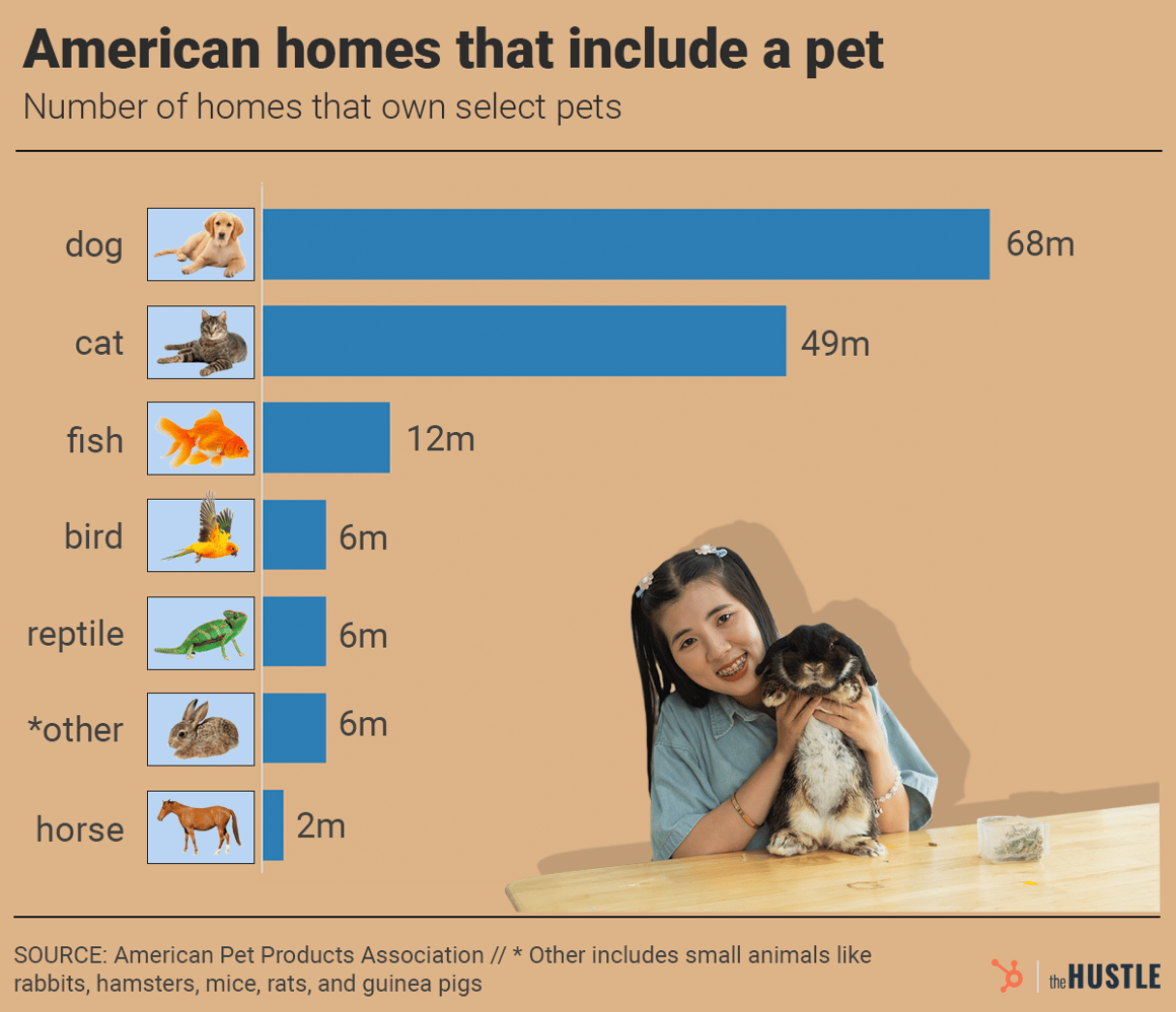 pets homes