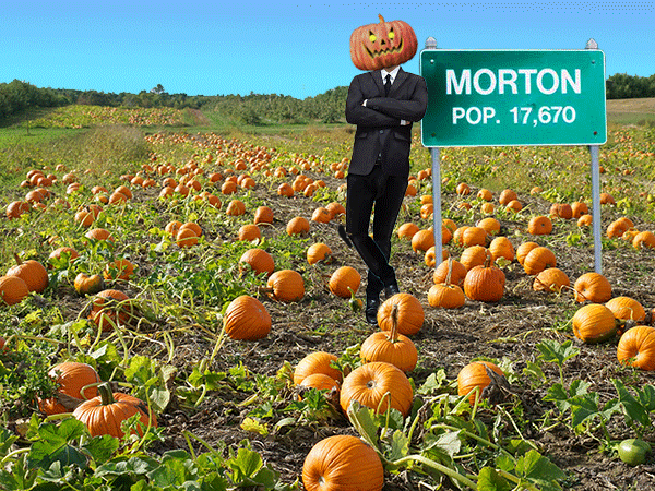 An illustration of a field of pumpkins with a man in a business suit and a jack-o-lantern head standing next to a sign for "Morton, POP. 17,670."